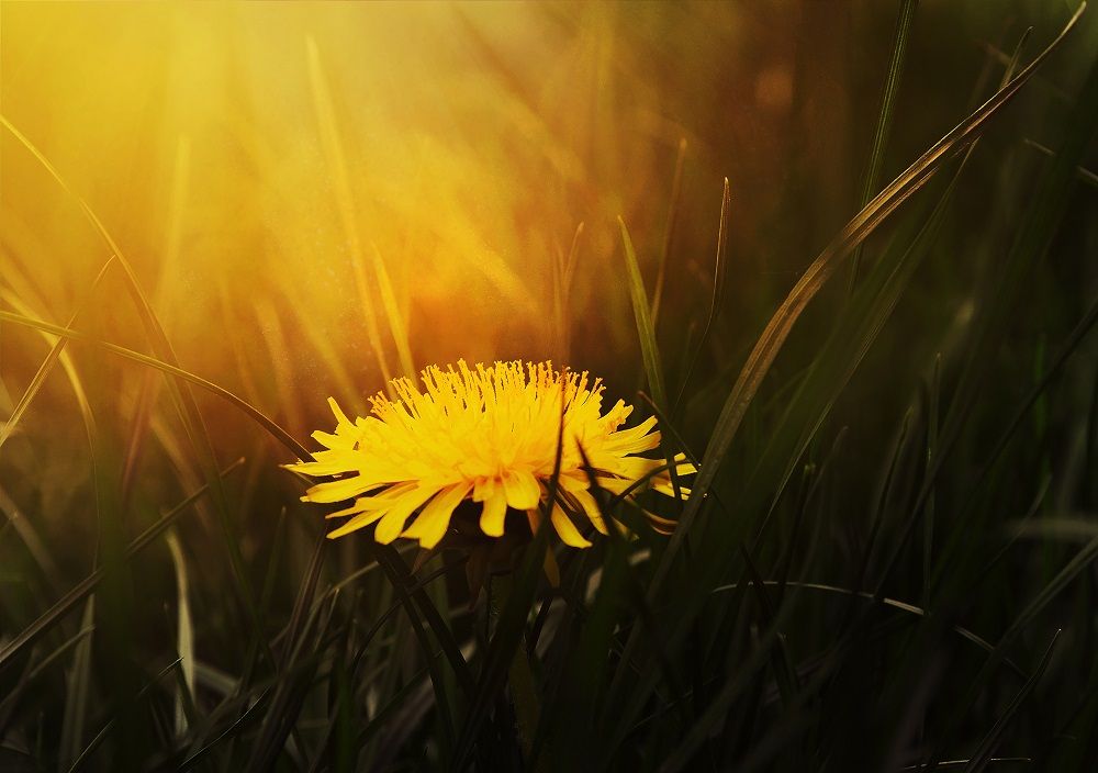 full of sunshine book quotes about summer bookmarin